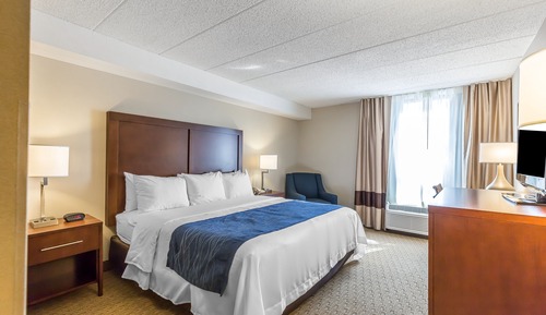 Standard Room, 1 King Bed, Non Smoking