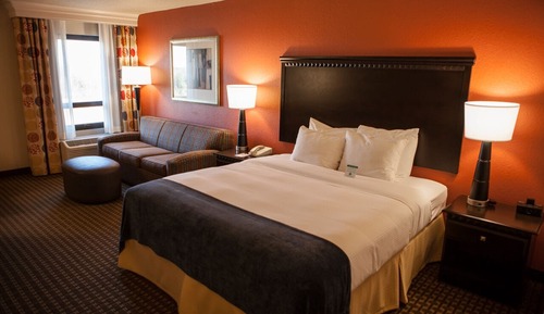 Business Single Room, 1 King Bed, Accessible