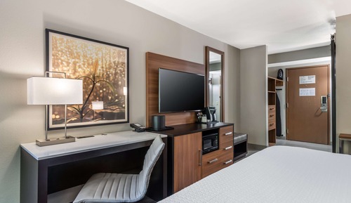 Standard Room, 1 King Bed, Non Smoking, Refrigerator & Microwave