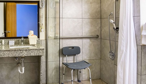 Room, 1 Queen Bed, Accessible, Non Smoking (Roll-In Shower)