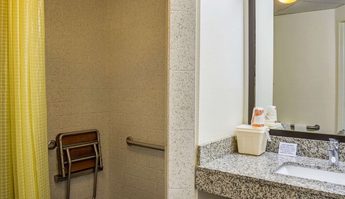Room, 1 King Bed, Accessible, Non Smoking (Roll-In Shower)