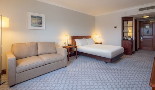 Family Room, 1 Double Bed (Deluxe)