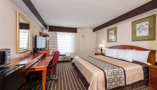 Standard Room, 1 King Bed