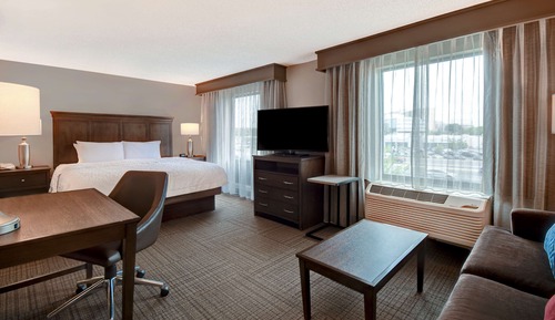 Studio Suite, 1 King Bed with Sofa bed