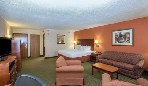 Studio Suite, 1 King Bed, Non Smoking