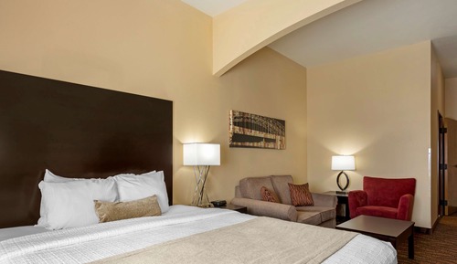 Standard Room, 1 King Bed, Accessible, Refrigerator & Microwave