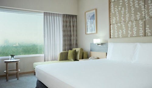 Room, 1 King Bed (View)