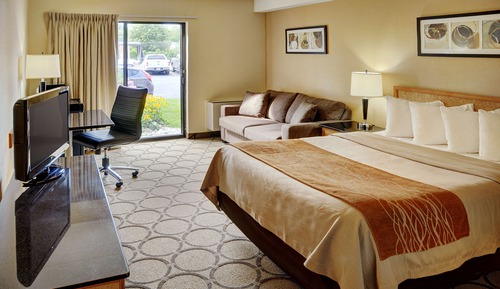 Standard Room, 1 Queen Bed, Non Smoking, Ground Floor
