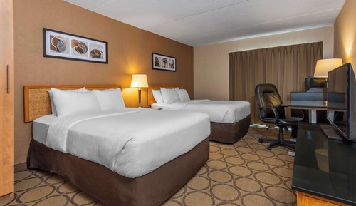 Comfort Care, Double Room, 2 Double Beds