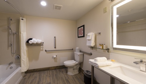 Standard Room, 1 King Bed, Accessible Bathtub (Accessible Tub)