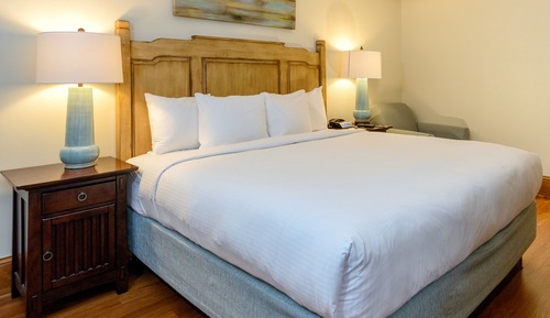 Room, 1 King Bed, Mobility Accessible