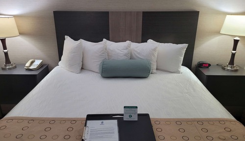 Executive Suite, 1 King Bed, Non Smoking, Refrigerator & Microwave