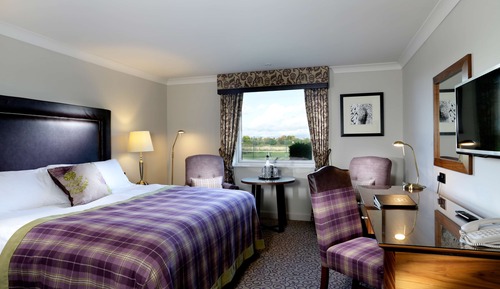 Superior Room, 1 Double Bed (Super Deluxe Double)