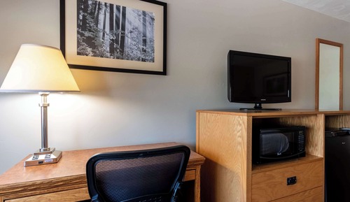 Suite, Multiple Beds, Non Smoking, Refrigerator & Microwave (with Sofabed)