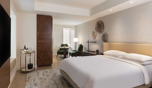 Room, 1 King Bed, Accessible (Shower)