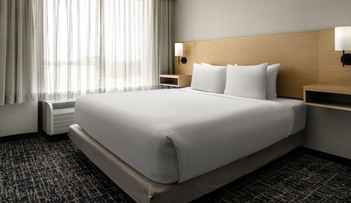 Standard Room, 1 King Bed with Sofa bed