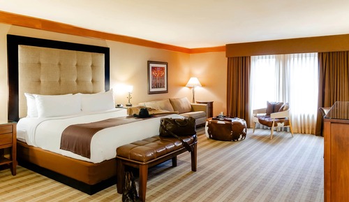 Deluxe Room, 1 King Bed (Premium King Sofa Sleeper)
