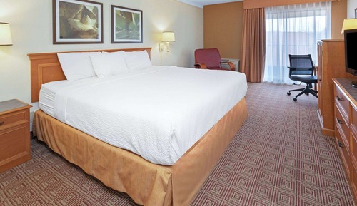 Room, 1 King Bed, Accessible, Non Smoking (Mobility/Hearing Impaired Accessible)