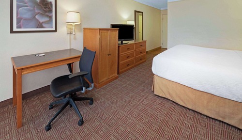 Room, 1 King Bed, Non Smoking (Pet-Friendly)