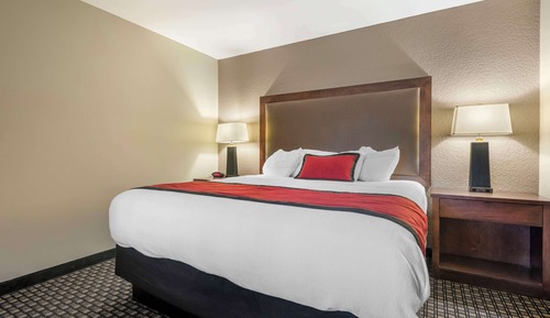 Suite, 1 King Bed, Non Smoking, Refrigerator & Microwave (with Sofabed)