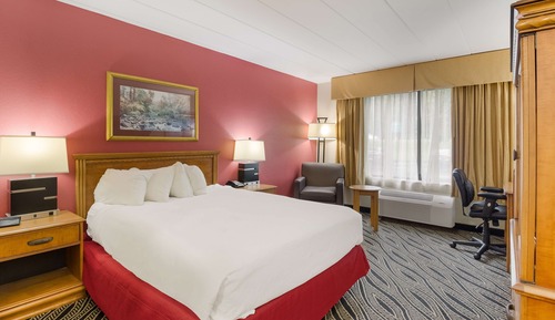 Standard Room, 1 Double Bed, Non Smoking (Shower Only)