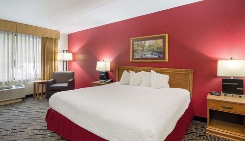 Standard Room, 1 King Bed, Accessible, Non Smoking