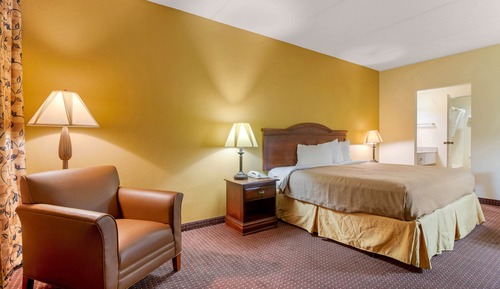 Room, 1 King Bed