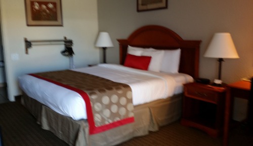 Room, 1 King Bed, Accessible, Non Smoking