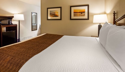 Standard Room, 1 Queen Bed, Non Smoking, Refrigerator