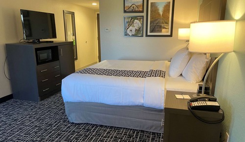 Room, 1 King Bed, Non Smoking (Mobility, Roll-In Shower)