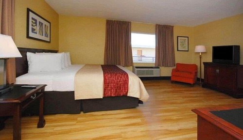 Room, 1 King Bed, Non Smoking