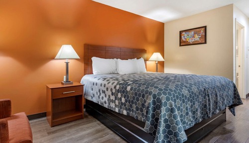 Standard Room, 1 King Bed, Non Smoking
