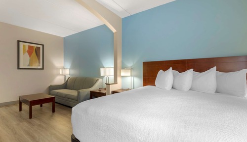 Suite, 1 King Bed, Non Smoking, Refrigerator & Microwave (with Sofabed)