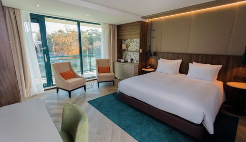 Room, 1 King Bed