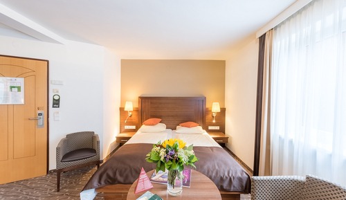 Superior Single Room (including parking garage)