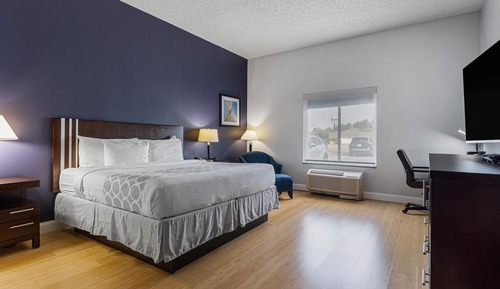 Standard Room, 1 King Bed, Accessible, Non Smoking