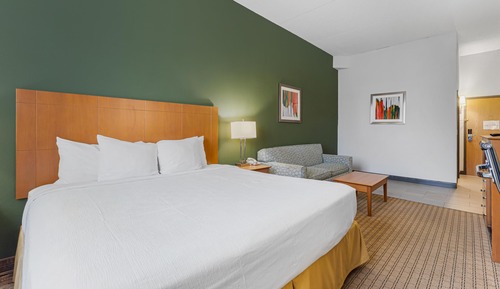 Standard Room, 1 King Bed, Non Smoking (Shower Only;with Sofabed)