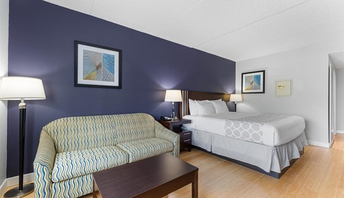 Standard Room, 1 King Bed, Non Smoking (Shower Only;Pet Friendly;with Sofabed)
