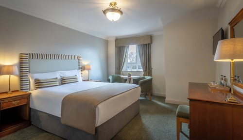 Standard Double Room Single Use
