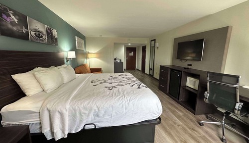 Business Room, 1 King Bed, Accessible, Non Smoking