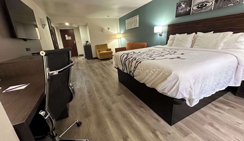 Business Suite, 1 King Bed, Non Smoking (Efficiency)