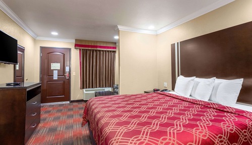 Suite, 1 King Bed with Sofa bed, Non Smoking
