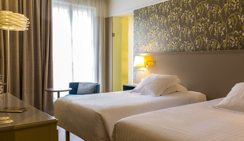Deluxe Double or Twin Room