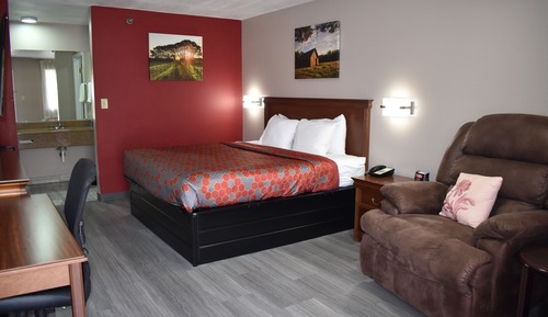 Room, 1 King Bed