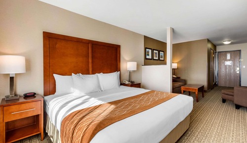 Suite, 1 King Bed with Sofa bed, Non Smoking