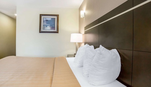 Standard Room, 1 Queen Bed, Non Smoking