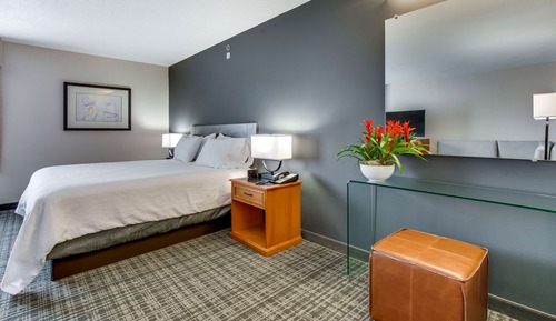 Deluxe Room, 1 King Bed, Non Smoking