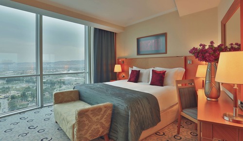 Senior Suite, 1 King Bed, Non Smoking, Mountain View (Senior)