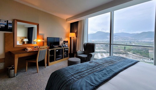 Standard Room, 1 King Bed, Smoking, Mountain View