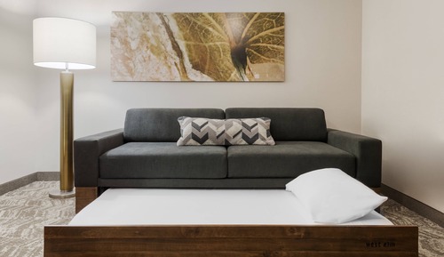 Standard Studio Suite, 1 King Bed with Sofa bed (Mobility/Hearing Accessible, Tub)
